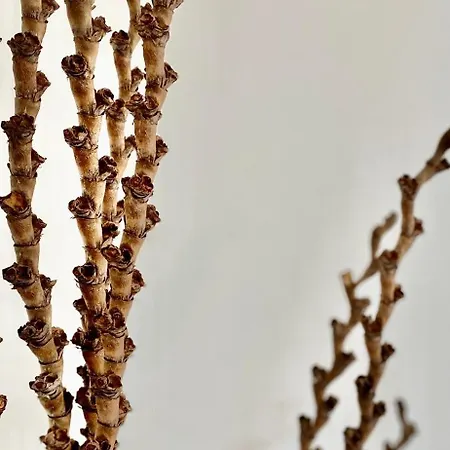 Horizon Maisonette Penthouse Bahnhofstrasse Appartement *