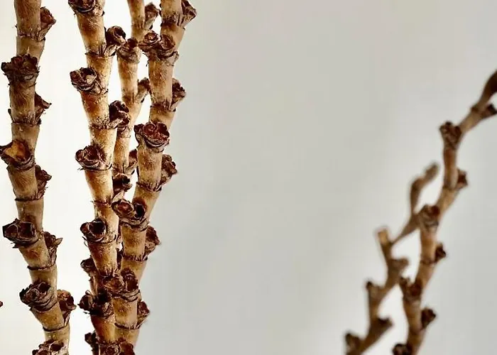 Horizon Maisonette Penthouse Bahnhofstrasse アパート *